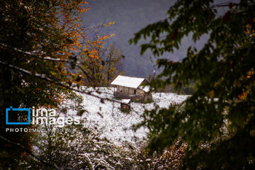 Snow in autumn in northern Iran