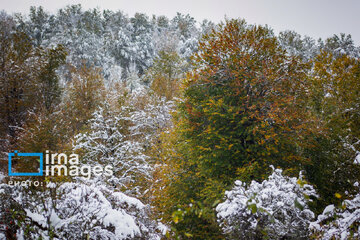 Snow in autumn in northern Iran