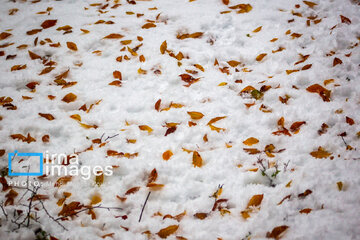 Snow in autumn in northern Iran