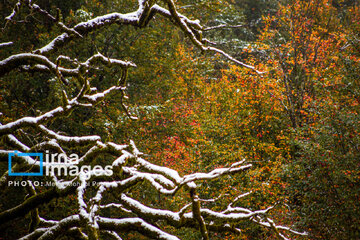 Snow in autumn in northern Iran