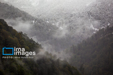 Snow in autumn in northern Iran