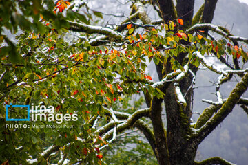 Snow in autumn in northern Iran