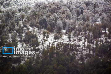 Snow in autumn in northern Iran