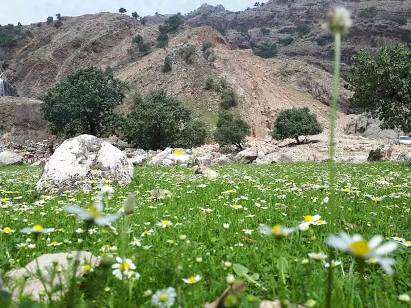 دشت شیمبار خوزستان؛نمونه ای زیبا از طبیعت ایران