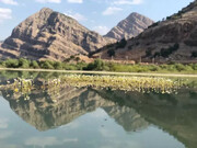 دشت شیمبار خوزستان؛نمونه ای زیبا از طبیعت ایران