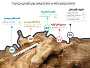 فسیل‌های مراغه در کدام موزه‌های جهان نگهداری می‌شود؟