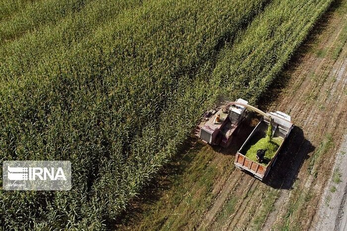 عضویت یک و نیم میلیون بهره بردار در اتاق اصناف کشاوزی