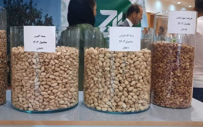 تمرکز بر برندسازی برای توسعه صادرات در جشنواره ملی پسته دامغان