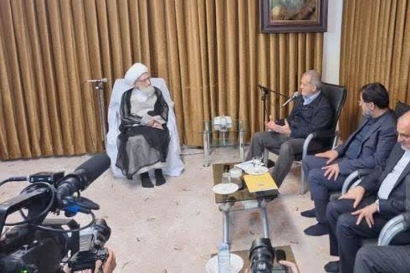 پزشکیان با آیتالله نوری همدانی دیدار کرد