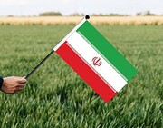 Iran to halt wheat imports this calendar year amid bumper crop: Minister