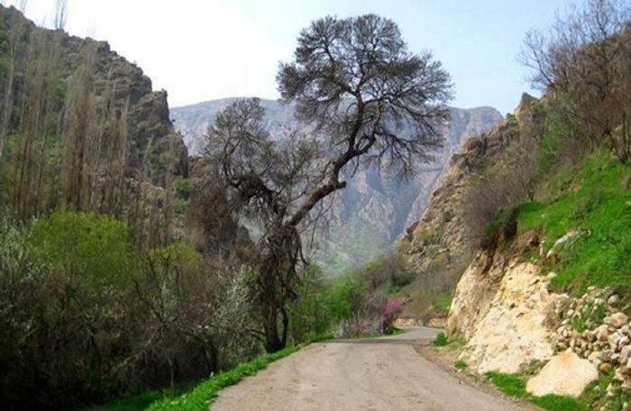 کُلم؛ روستایی گردشگری در میان طبیعت بِکر ایلام