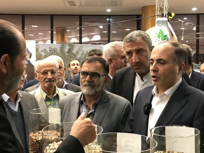 وزیر جهاد کشاورزی: یک سوم پسته کشور قابل صادرات است