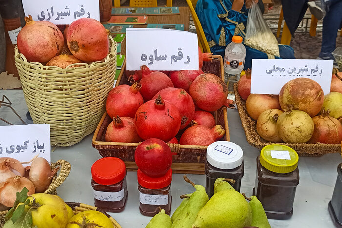 نخستین جشنواره انار روستای نمهیل خلخال برگزار شد