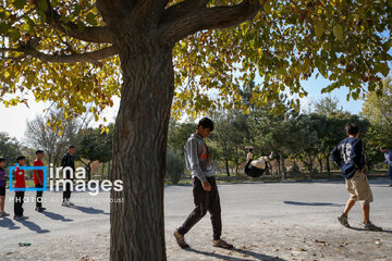 Iran's Parkour National Championship