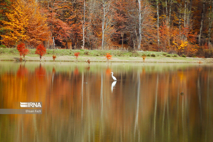 هشدار هواشناسی مازندران درباره سیل