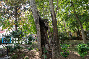 A media tour around Tehran ancient sites