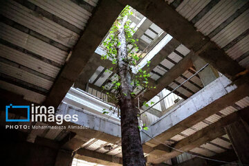 A media tour around Tehran ancient sites