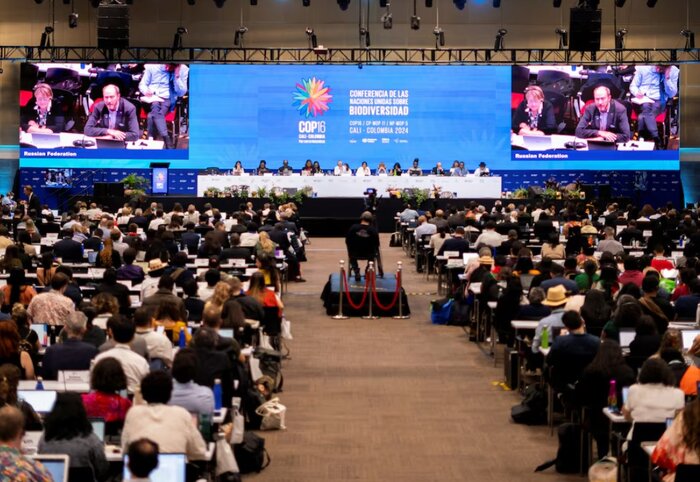 توافق آب و هوایی «کاپ۲۹»؛ پیشرفت تاریخی یا عقبگرد و نا امیدی؟