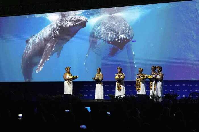 توافق آب و هوایی «کاپ۲۹»؛ پیشرفت تاریخی یا عقبگرد و نا امیدی؟