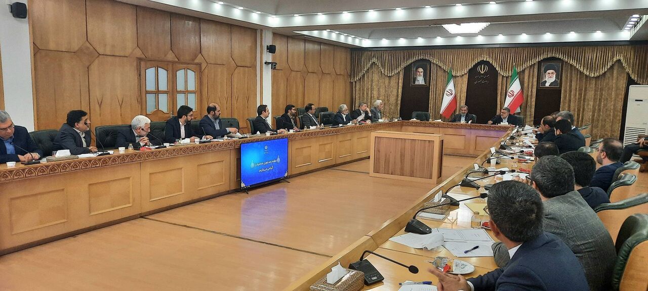 رضایی: باید قانون جامعی به‌جای مصوبه مولدسازی به مجلس ارائه شود
