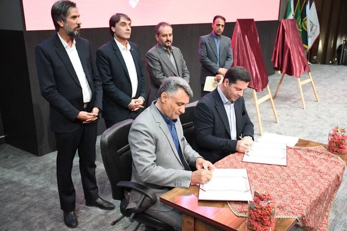 خراسان جنوبی ۹۸ درصد زرشک بیدانه جهان را تولید میکند