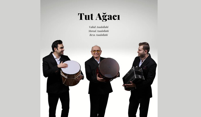 آلبومهای موسیقی سنتی همچنان پیشتاز هستند/ انتشار «مشهور» پس از ۸ سال