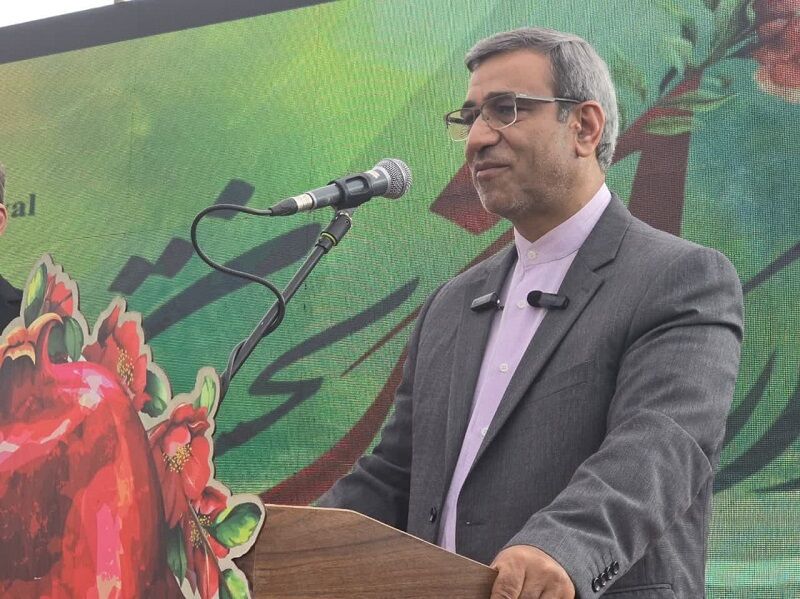 استاندار خراسان رضوی: جشنواره انار بجستان رونق اقتصادی منطقه را در بردارد استاندار خراسان رضوی: جشنواره انار بجستان رونق اقتصادی منطقه را در بردارد