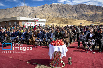 Pomegranate Festival in Paveh