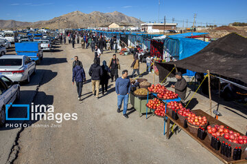 Pomegranate Festival in Paveh