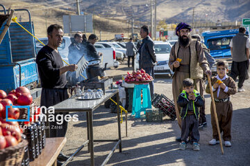 Pomegranate Festival in Paveh