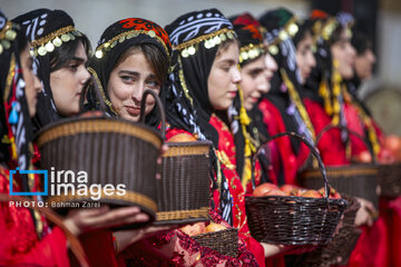 Pomegranate Festival in Paveh