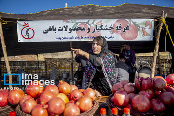 Pomegranate Festival in Paveh