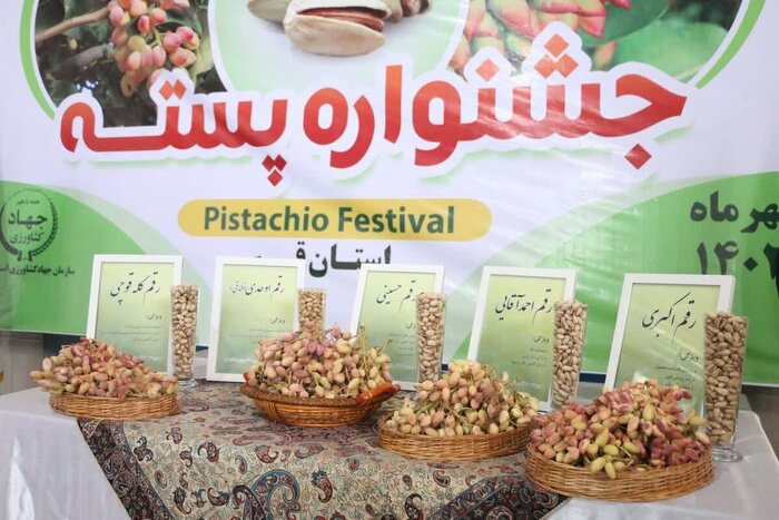 لب خندان پستههای کویر قم در بازار شیرین خشکبار