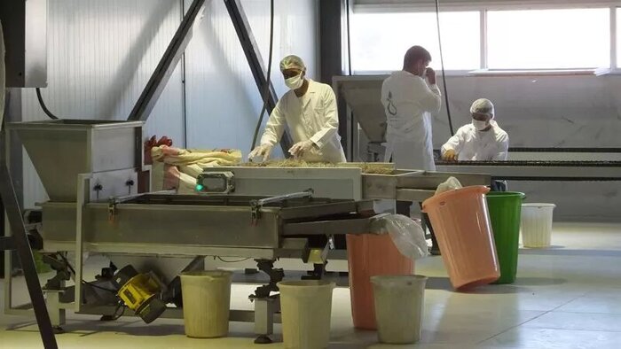 موانع تکمیل پنج طرح بزرگ تولیدی وصنعتی گچساران