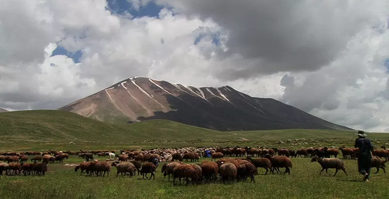 کوهپیمایی پاییزی در ایران: از رنگ‌ها تا سکوت طبیعت