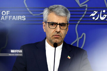 Baghaei : 
Les sanctions de l'UE et de l'Angleterre sont une manifeste violation des droits de l'homme