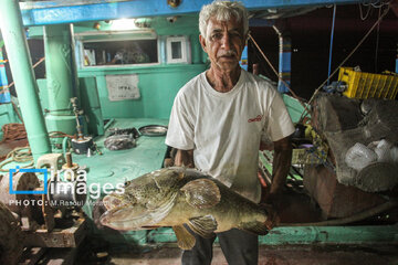 Pêche aux crevettes et aux poissons dans le golfe Persique