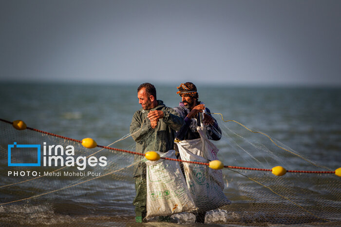 خزر به کام صیادان