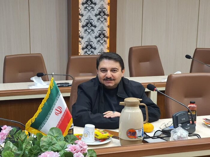 قزوین ظرفیت خوبی برای همکاری با نظام صنفی رایانه ای کشور دارد