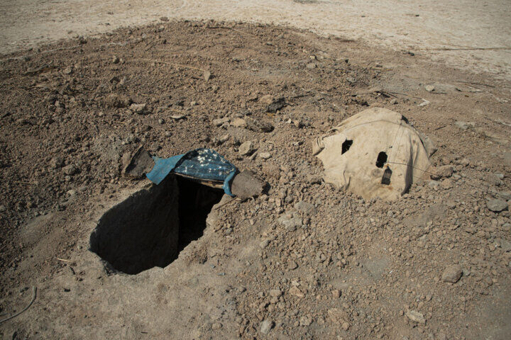 ۳ متخلف صید پرندگان شکاری در تنگستان دستگیر شدند ۳ متخلف صید پرندگان شکاری در تنگستان دستگیر شدند