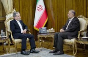 FM Araghchi meets Iran’s Russian envoy, APA chief