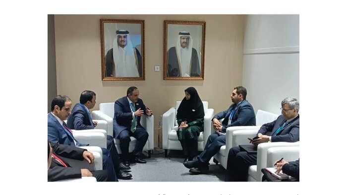 تصمیمات کاپ ۲۹ باید منجر به کاهش اثرات تغییراتاقلیمی شود