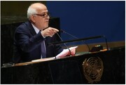 We will not disappear: Palestine’s UN envoy