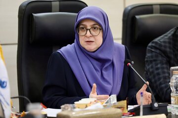 مهاجرانی: دولت چهاردهم مشورت‌پذیر است، لجباز نیست