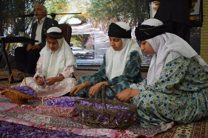 جشنواره زعفران (طلای سرخ) دربهاباد یزد برگزار شد