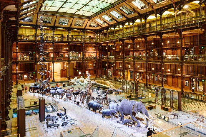 پژوهشگر مرکز دیرینهشناسی پاریس: مراغه از معروفترین مناطق فسیلی پستانداران باستانی است