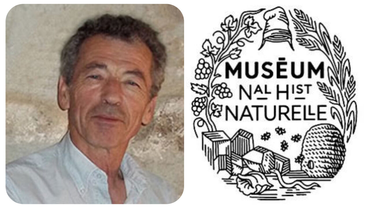 پژوهشگر مرکز دیرینهشناسی پاریس: مراغه از معروفترین مناطق فسیلی پستانداران باستانی است پژوهشگر مرکز دیرینهشناسی پاریس: مراغه از معروفترین مناطق فسیلی پستانداران باستانی است