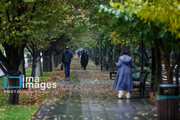 Autumn rain in Tehran