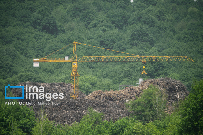 شگرد جدید سوداگران در خشکاندن تدریجی جنگلهای هیرکانی +فیلم