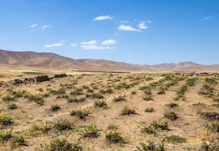 خسارت میلیاردی به کشاورزی خراسان جنوبی؛ تیغ خشکسالی بُرندهتر شد